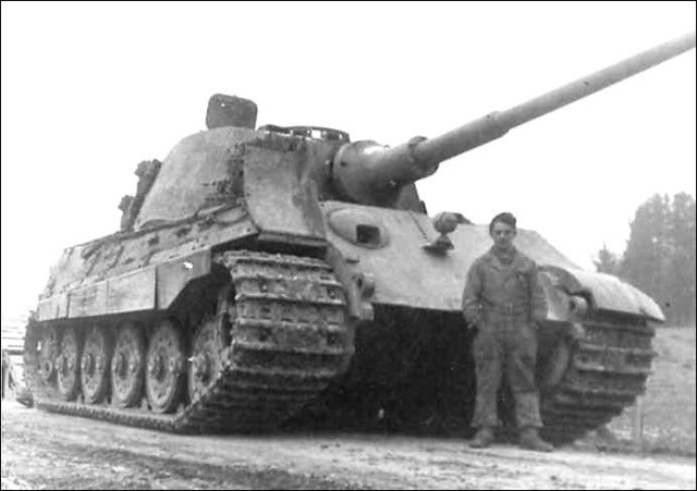 tiger-12.jpg