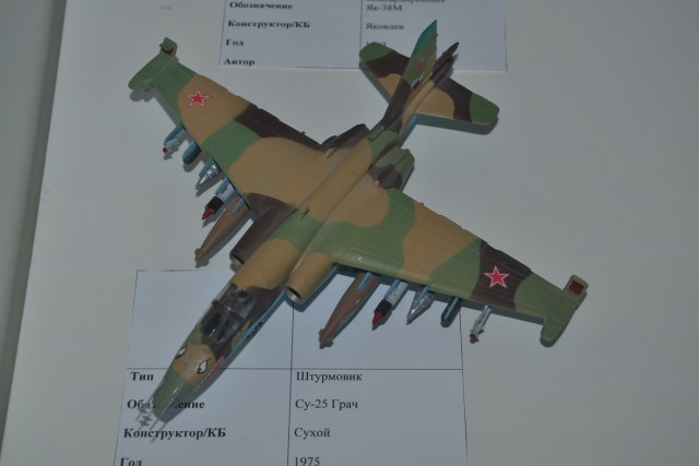 Су-25 Грач. Хакимов Денис.JPG