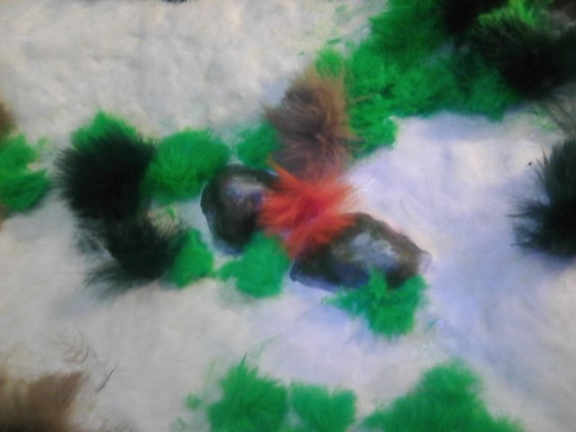 оформлени ДНА фото №5.jpg