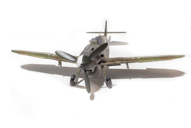 DSC08297 копия.jpg