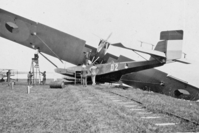 крупн_090888 (D-2)..jpg