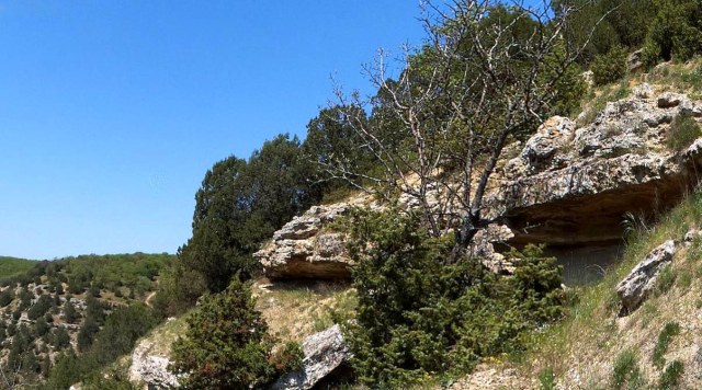 96 Мартыновская балка.jpg