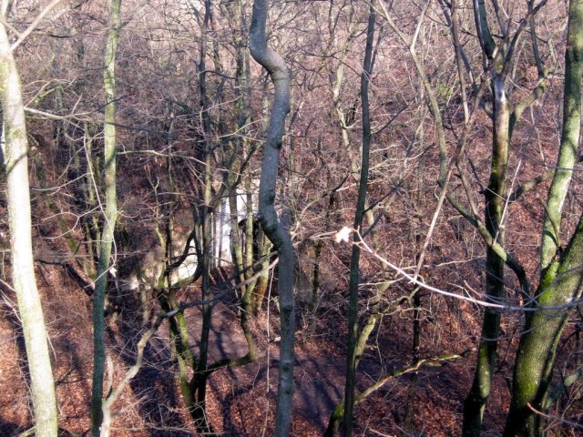 33 Вид с гласиса.jpg