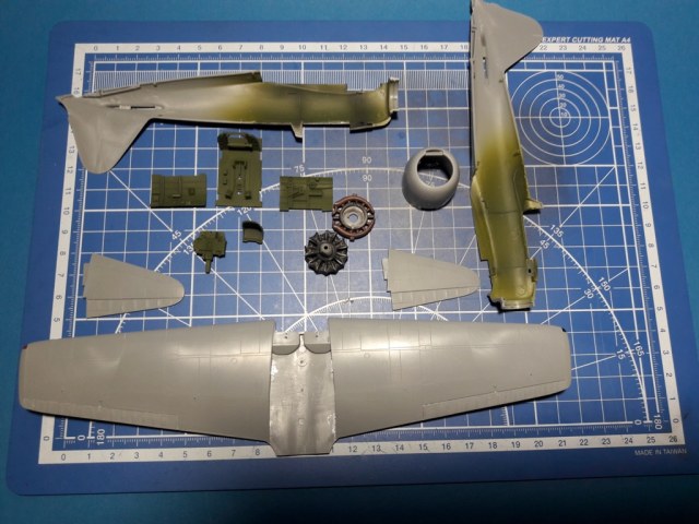 20190723_192832 (2).jpg