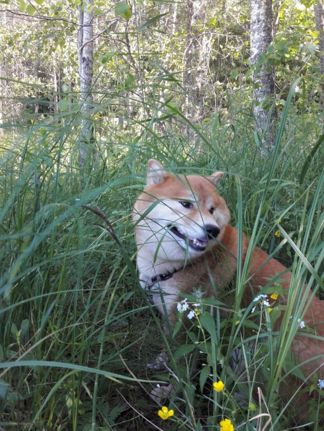 20190623_114852 01.jpg