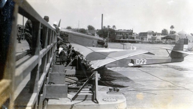 крупн. D-22...jpg