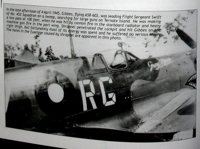 spit mkVIII RG-V.JPG