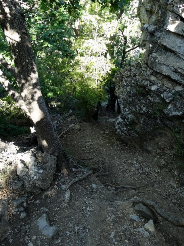 29 Спуск вниз.jpg