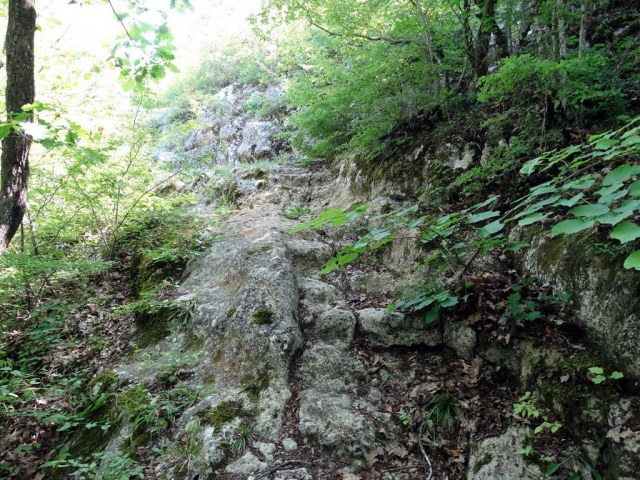 018 Лестница.jpg