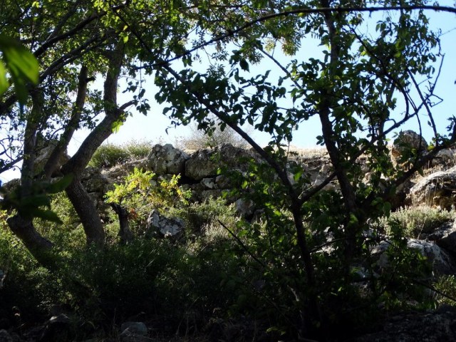 12 Остатки стены.jpg