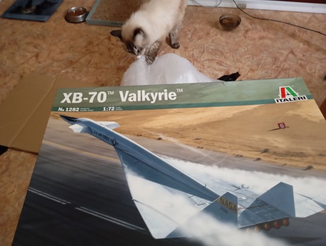 валькирия (1).jpg