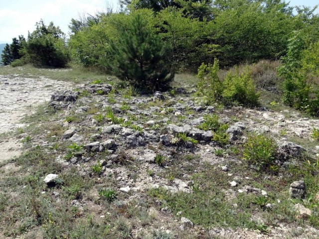 021 Оборонительная стена.jpg