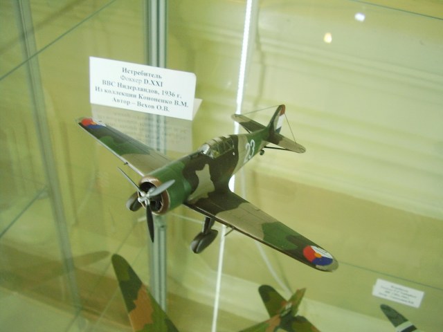 Фоккер D.XXI. 1-72. Вехов О.В_новый размер.JPG