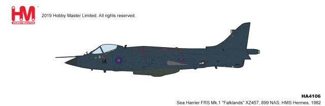 HA4106_harrier.jpg