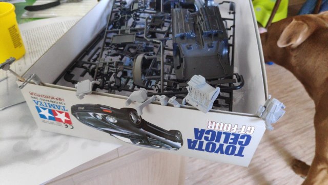 WhatsApp Image 2019-05-20 at 09.15.16(2).jpeg