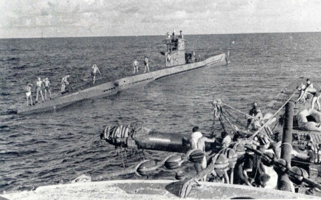 u564.jpg