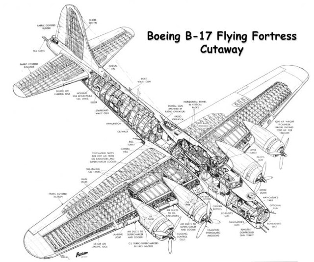 B17-Cutaway.jpg