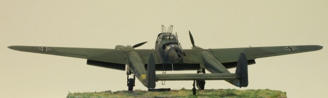 С земли_0029.JPG