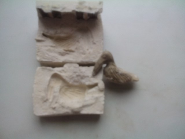 форма для носовой фигуры - Пеликан.jpg