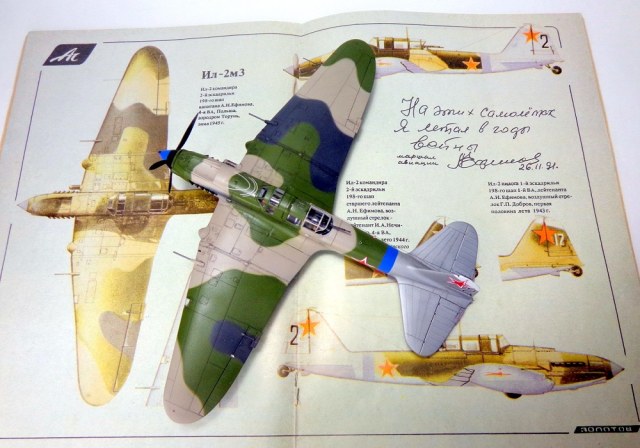 DSC02494 - копия.JPG