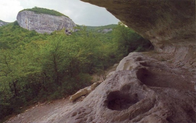 56 Тарапаны.jpg