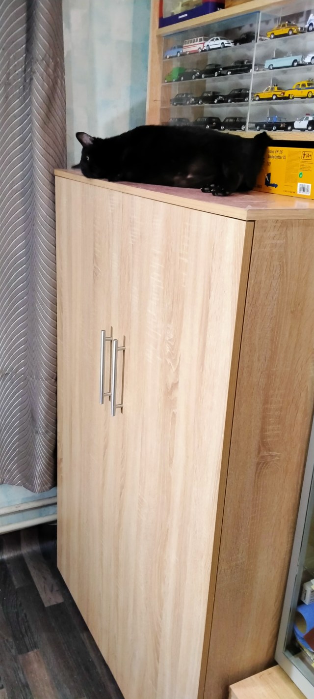 IMG20210420181313.jpg