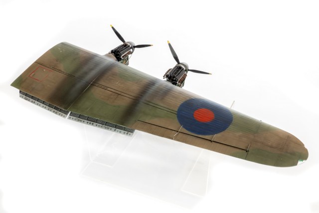 DSC08696 копия.jpg