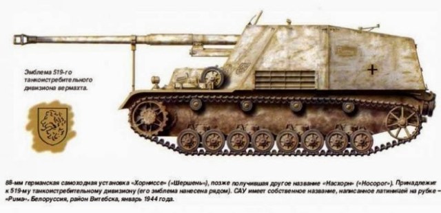 окрас 01  Nashorn Puma peazo-gato.jpg