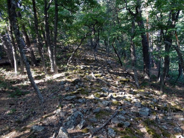 12 Оборонительная стена.jpg