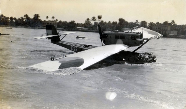 крупн. D-22...ю.jpg