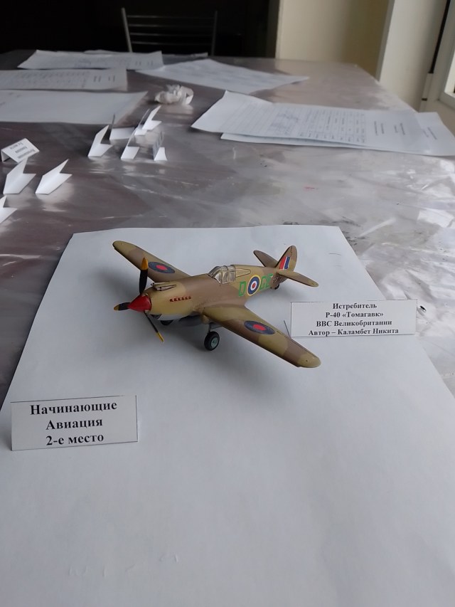 Начинающие. Авиация. 2 место.jpg