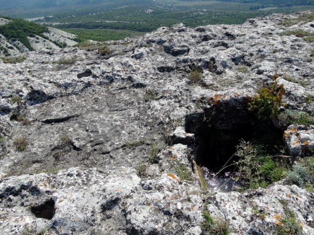 028 Тарапан.jpg