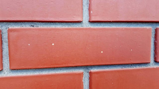 026 - не повезло.jpg