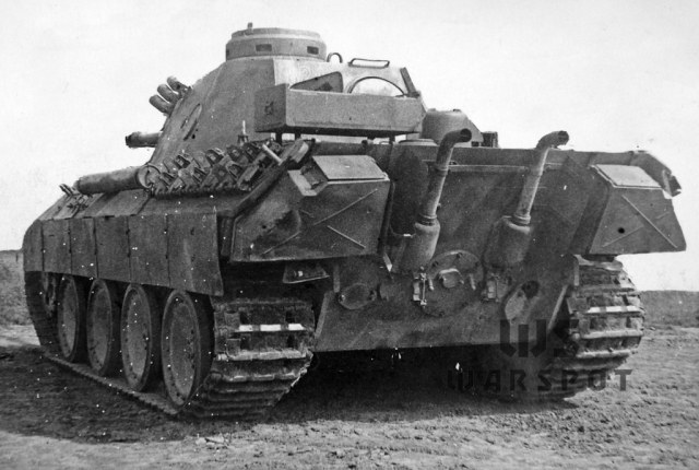 Panther_08.jpg