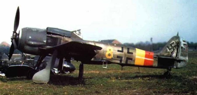 Focke-Wulf-Fw-190A9-7.JG301-Yellow-8-Halberstadt-1945-04.jpg