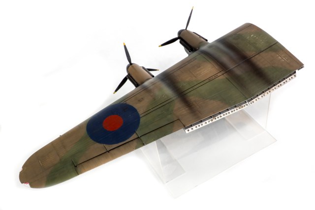 DSC08717 копия.jpg