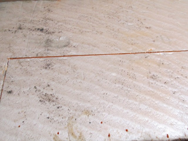 вампир 109.jpg