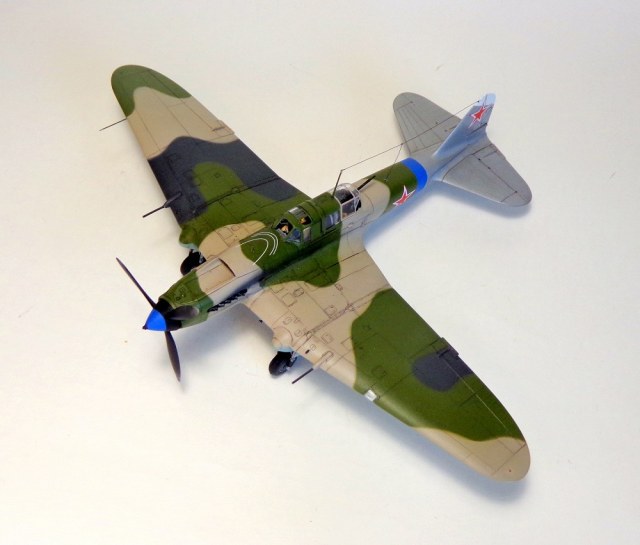 DSC02465 (2) - копия.JPG