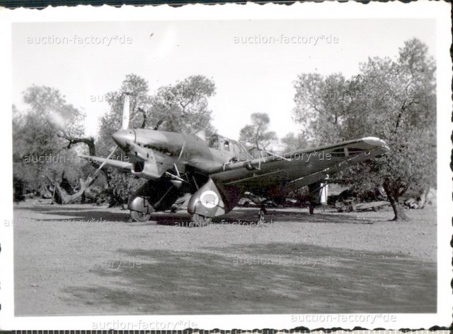 29-X 2008-07-23-004.jpg