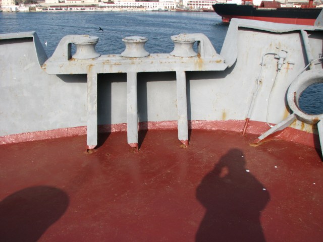 Изображение 221.jpg