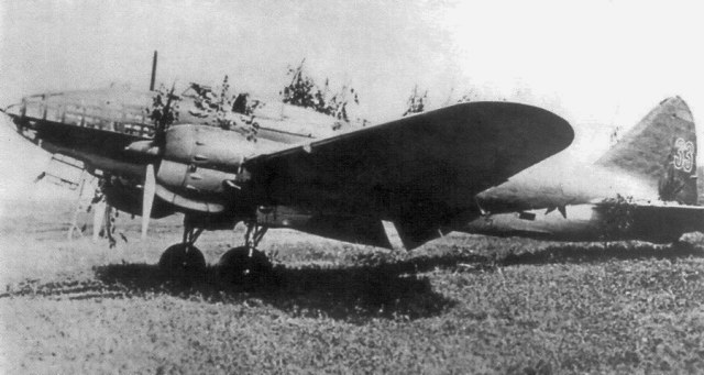 db3f-33.jpg