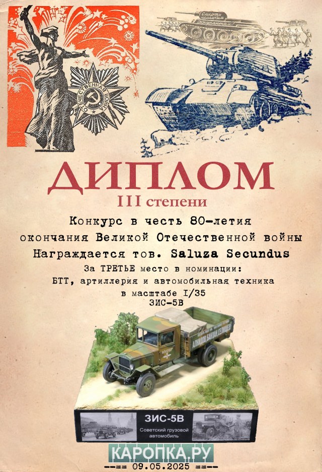 Диплом Saluza.jpg