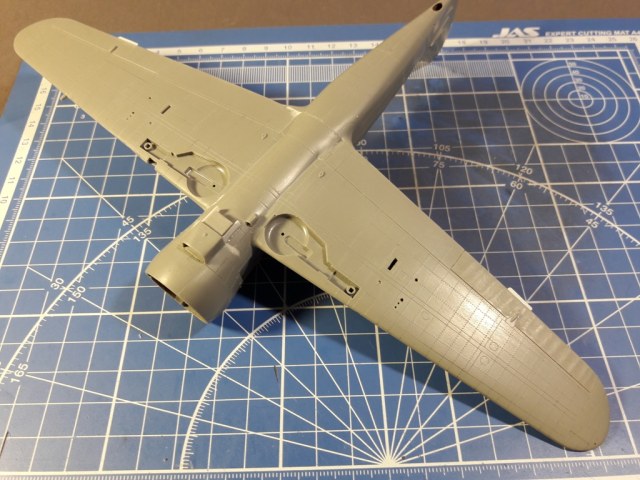 20190727_140421 (2).jpg