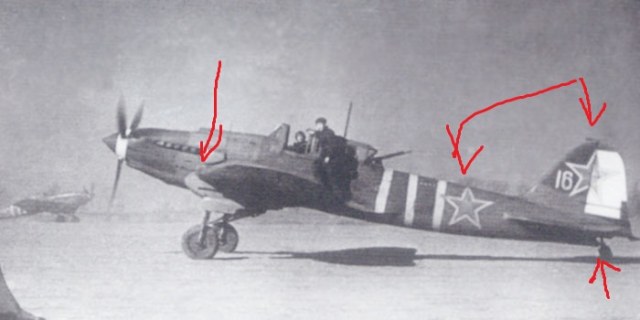 il2m3- silvertail16.jpg