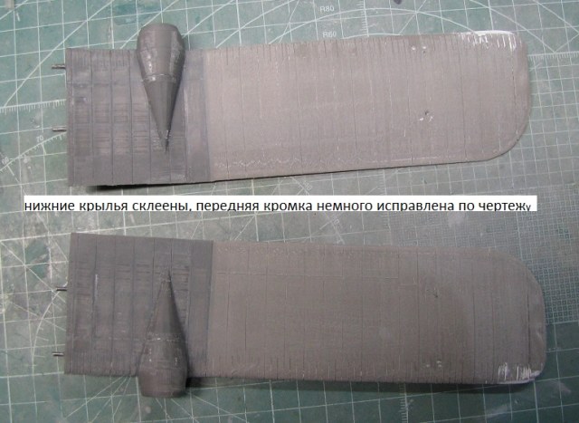 нижни е ктрылья.jpg