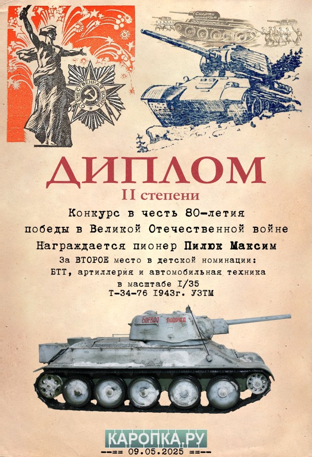 Диплом Пилюк 2.jpg