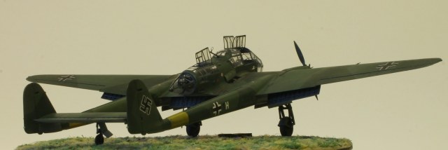 С земли_0028.JPG