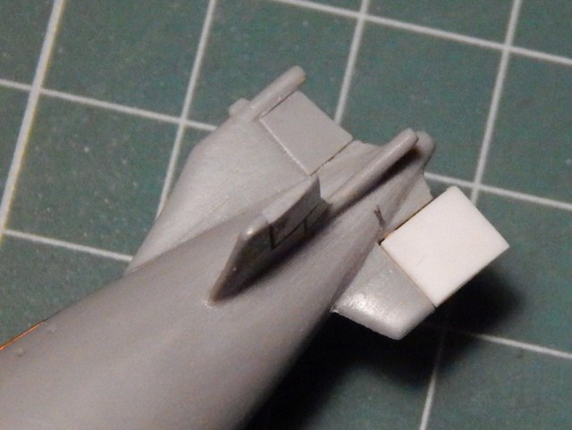 DSCN8956 resized.jpg