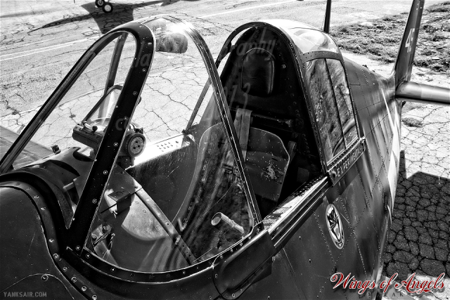 LastCatblog - копия.png