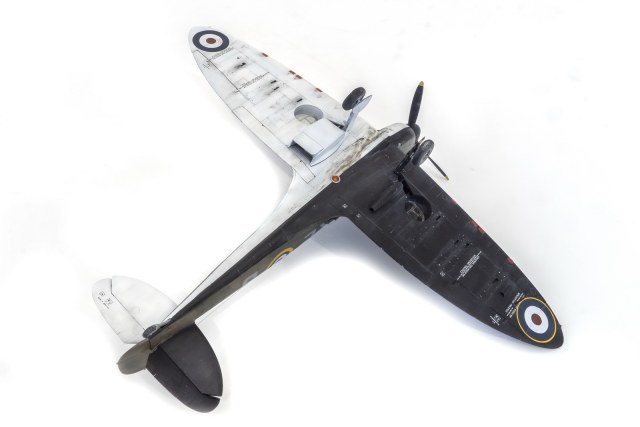 DSC05118_новый размер.jpg